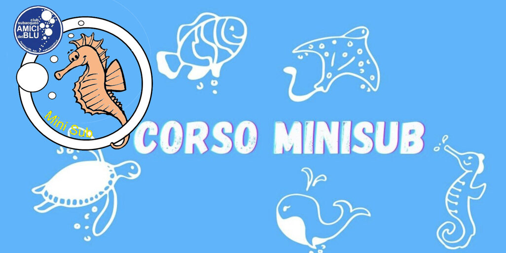 minisub-1-1512x756 copia.jpeg