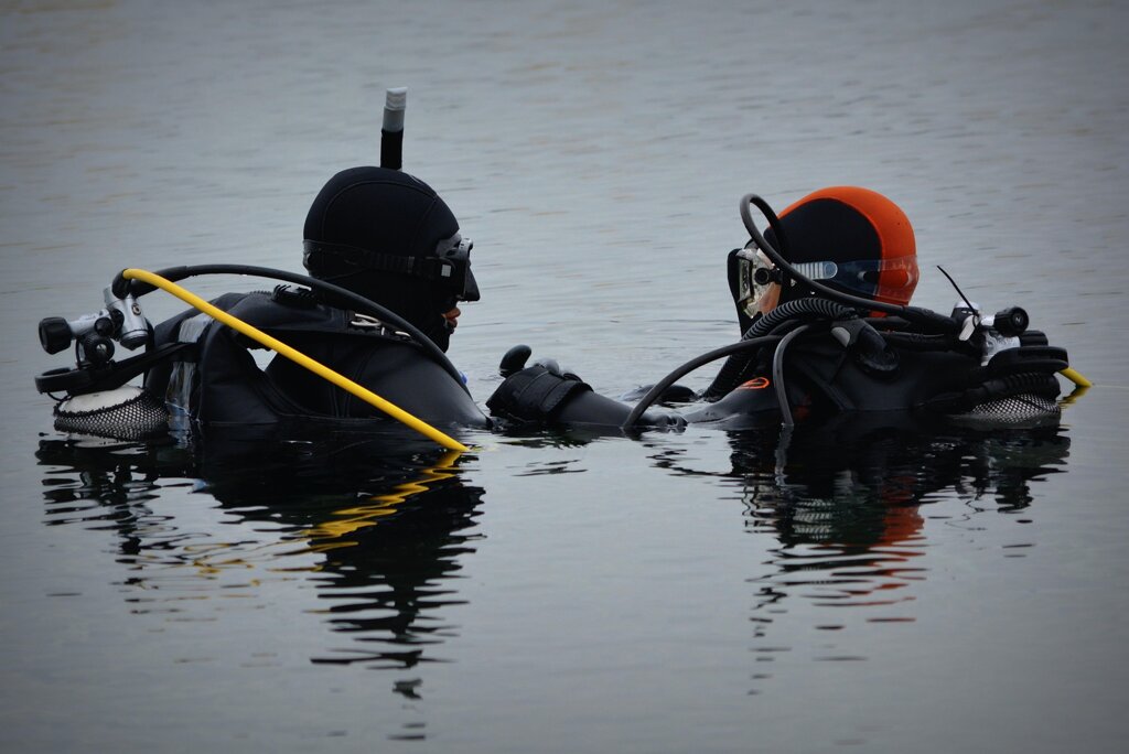 divers-513690_1920.jpeg divers-513690_1920.jpeg