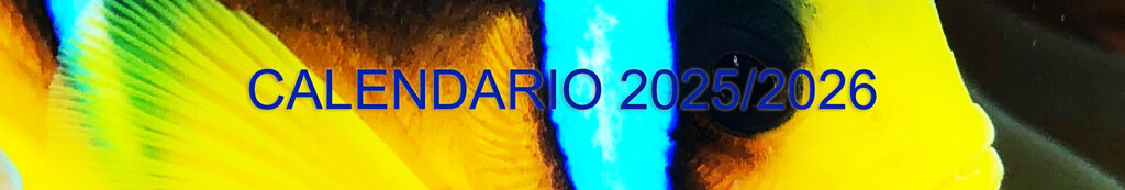 calendario.jpeg
