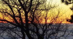 img_9465.jpeg