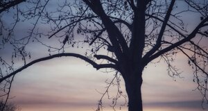 img_9475.jpeg
