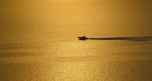 img_9474.jpeg