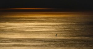 img_9490.jpeg