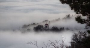 img_9244.jpeg
