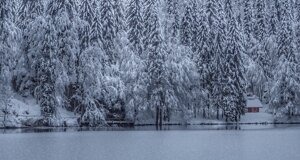img_4422.jpeg