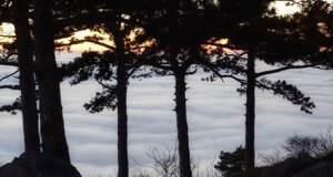 img_9462.jpeg