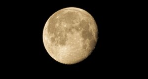 img_9483.jpeg