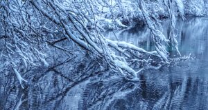 img_9404.jpeg