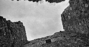 img_9310.jpeg