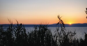 img_9457.jpeg