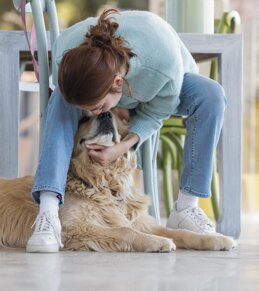 dogsitter.jpeg dogsitter.jpeg