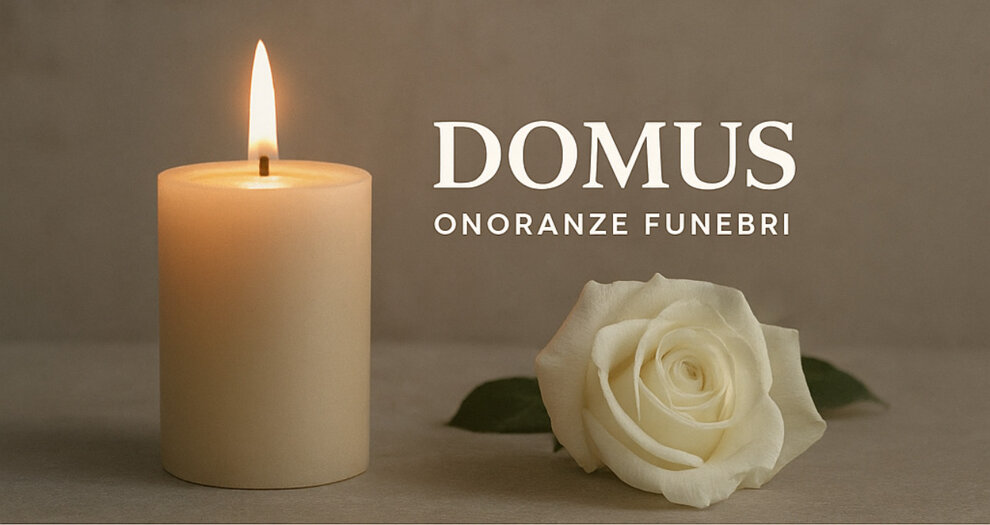 img_2639.jpeg img_2639.jpeg