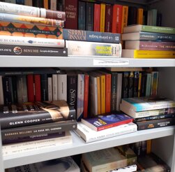 biblioteca 2.jpeg biblioteca 2.jpeg