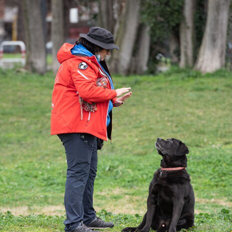 terra.jpeg terra.jpeg