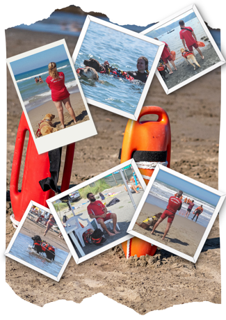 cosa facciamo cosa facciamo