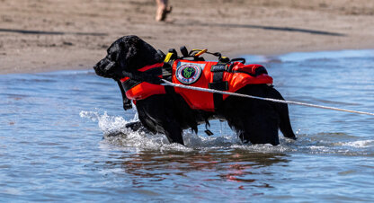 2c65d596-8560-410f-94f3-57946ecad420.jpeg 2c65d596-8560-410f-94f3-57946ecad420.jpeg