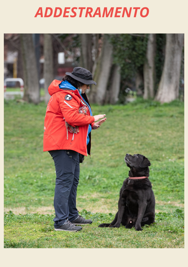 addestarmento addestarmento