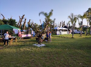 img_20230617_190600.jpeg