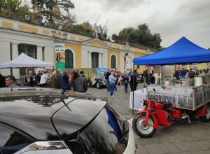 img_20230514_102050.jpeg