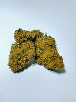 critical-cbd