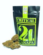 critical-cbd