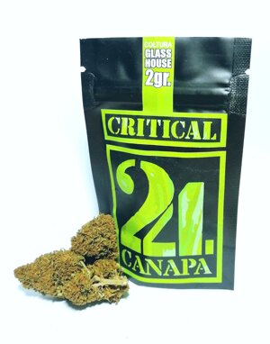 critical-cbd