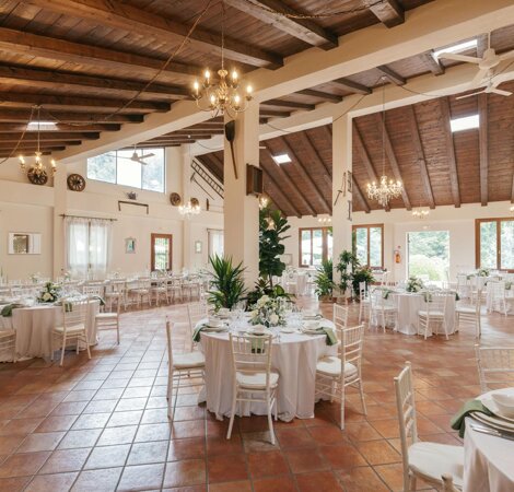 whatsapp%20image%202025-09-09%20at%2011.57.02.jpeg whatsapp%20image%202025-09-09%20at%2011.57.02.jpeg