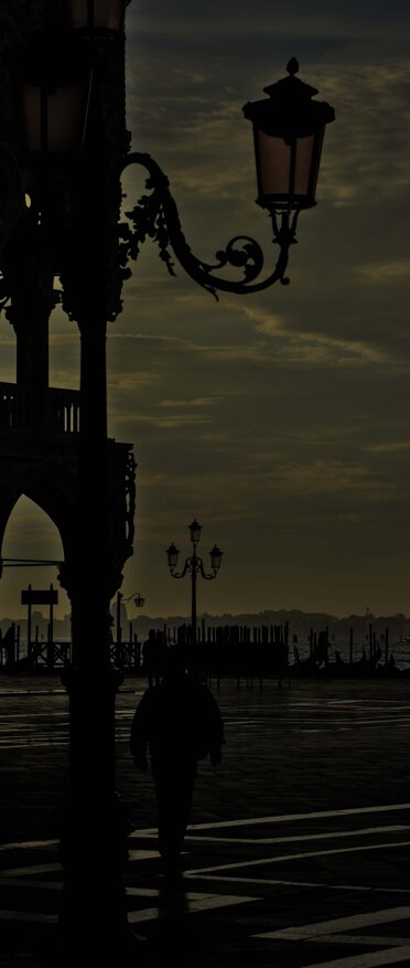 down at venice.jpeg