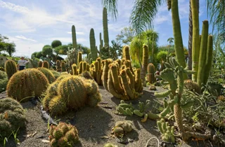 ravino%20gardens%209.webp