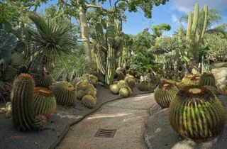 ravino%20gardens%206.webp