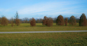 path,%20people%20and%20child%20on%20bicycle.jpeg path,%20people%20and%20child%20on%20bicycle.jpeg