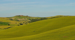 hills%20near%20siena%203.jpeg