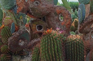 ravino%20gardens%2010.webp