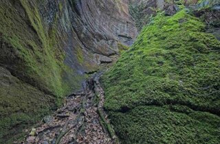 ravines%20of%20uriezzo%2022-2.jpeg