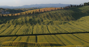 castellina%20in%20chianti%20-%20fountain.jpeg