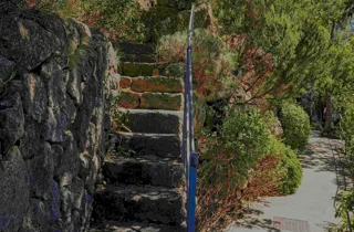 gardens%20la%20mortella,%20detail.webp