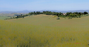 hills%20near%20siena%202.jpeg