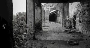 courtyard.jpeg