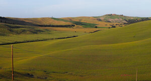 tuscan%20hills%20-%20ears%20of%20wheat.jpeg