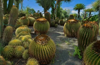 ravino%20gardens%205.webp