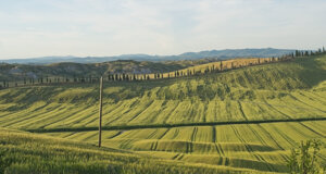 hills%20in%20chianti.jpeg