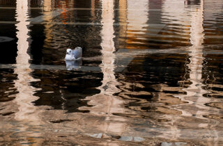 venice%20-%20nocturn%201%20.jpeg