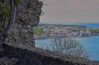 view%20on%20ischia%20port.webp