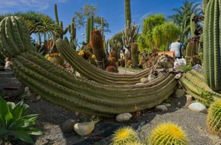 ravino%20gardens%204.webp