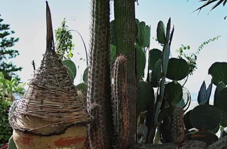 ravino%20gardens%2013.webp