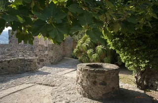 coming%20out%20of%20the%20aragonese%20castle.webp