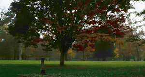 park in the early spring.jpeg park in the early spring.jpeg