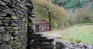 a%20part%20of%20the%20village.jpeg
