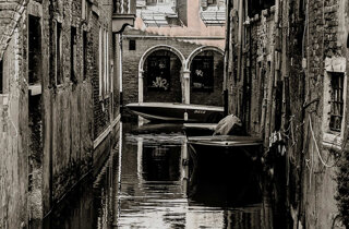venice%20-%20%22acqua%20alta%20library%22%201.jpeg