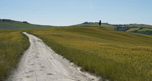 mucigliani%20(siena).jpeg